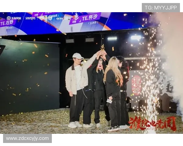 濮院电竞周TE溯大战杭州KA第二局淘汰赛巅峰对决精彩上演全场